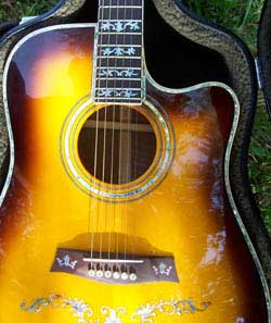 MandoHarp - 'Hands of Gaia' Inlaid Cutaway-Style Acoustic Guitar