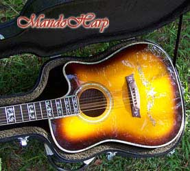 MandoHarp - 'Hands of Gaia' Inlaid Cutaway-Style Acoustic Guitar