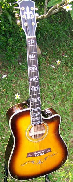 MandoHarp - 'Hands of Gaia' Inlaid Cutaway-Style Acoustic Guitar