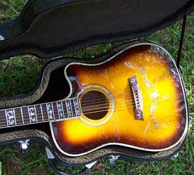 MandoHarp - 'Hands of Gaia' Inlaid Cutaway-Style Acoustic Guitar