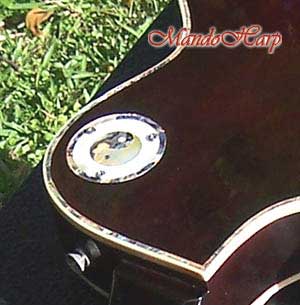 'Dragons' Hand-Made Les Paul Style 12-String Electric Guitar
