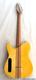 MandoHarp - Electric Guitar