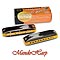 MandoHarp - Seydel Session Steel Summer Edition