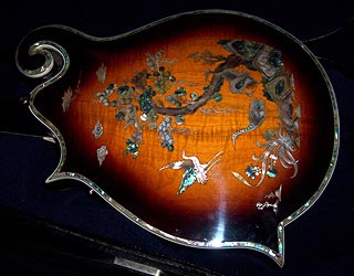MandoHarp - 'Twisting Vines' Hand-Made F4-Style Mandolin with Abalone and Mother of Pearl Inlay