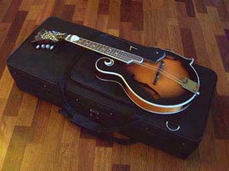 MandoHarp - 'Spencer F5-Style' Mandolin