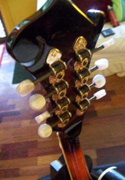 MandoHarp - 'Spencer F5-Style' Mandolin