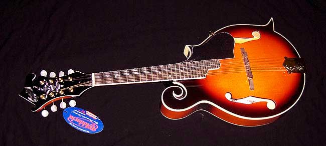 MandoHarp - 'S & D Copley CFM150' F-5 Style Mandolin