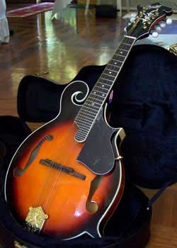 MandoHarp - 'S & D Copley CFM150' F-5 Style Mandolin