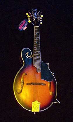 MandoHarp - 'Twisting Vines' Hand-Made F4-Style Mandolin with Abalone and Mother of Pearl Inlay