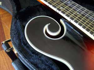 MandoHarp - 'Twisting Vines' Hand-Made F4-Style Mandolin with Abalone and Mother of Pearl Inlay