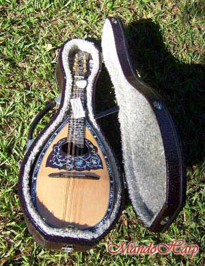 MandoHarp - Lovers' Swing - Hand-made Classical Bowl-back Inlaid Mandolin with Beautiful Oil Painting