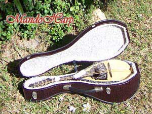 MandoHarp - Lovers' Swing - Hand-made Classical Bowl-back Inlaid Mandolin with Beautiful Oil Painting