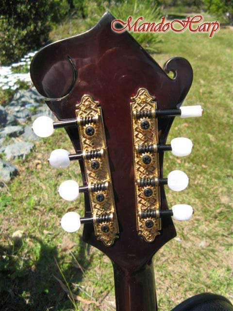 MandoHarp - 'Twisting Vines' Hand-Made F4-Style Mandolin with Abalone and Mother of Pearl Inlay