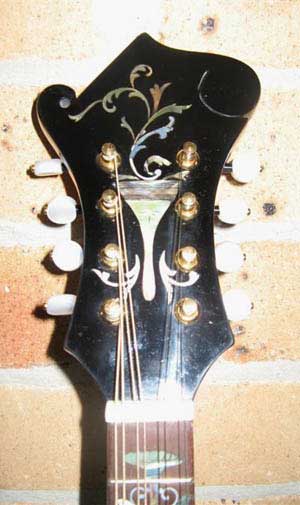 MandoHarp - 'Twisting Vines' Hand-Made F4-Style Mandolin with Abalone and Mother of Pearl Inlay