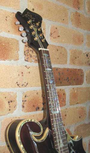 MandoHarp - 'Twisting Vines' Hand-Made F4-Style Mandolin with Abalone and Mother of Pearl Inlay