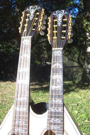 MandoHarp - Double Neck Mandolin/Mandola