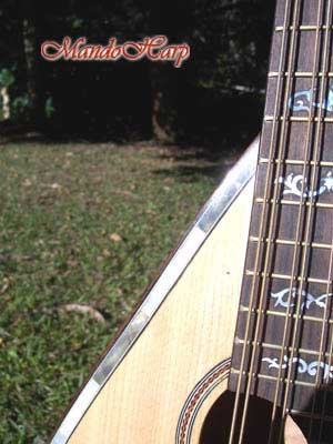 MandoHarp - Double Neck Mandolin/Mandola