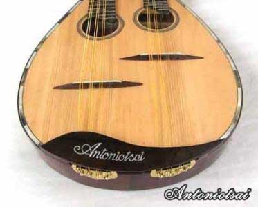 MandoHarp - Double Neck Mandolin/Mandola