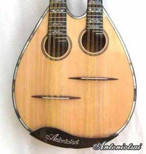 MandoHarp - Double Neck Mandolin/Mandola