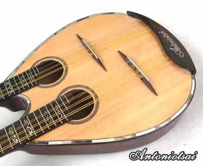 MandoHarp - Double Neck Mandolin/Mandola