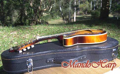 MandoHarp - 'Floral Vines' Hand-Made F4-Style Inlaid Mandolin