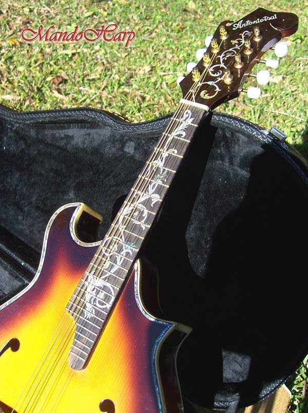 MandoHarp - 'Floral Vines' Hand-Made F4-Style Inlaid Mandolin