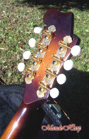 MandoHarp - 'Floral Vines' Hand-Made F4-Style Inlaid Mandolin