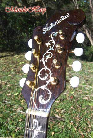 MandoHarp - 'Floral Vines' Hand-Made F4-Style Inlaid Mandolin