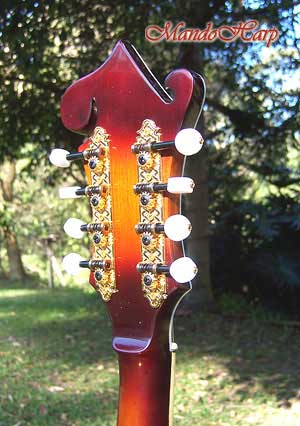 MandoHarp - Hand-Made Inlaid F5 Mandolin