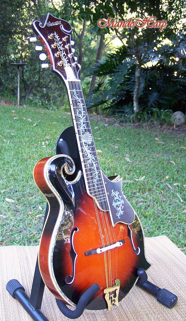 MandoHarp - 'Floral Vines' Hand-Carved Inlaid F5-Style Mandolin