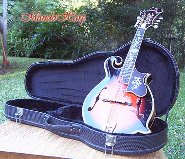 MandoHarp - 'Floral Vines' Hand-Carved Inlaid F5-Style Mandolin