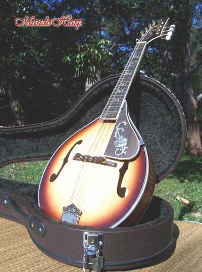 MandoHarp - 'Bird Flower' Hand-Made Inlaid A-Style Mandolin