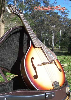 MandoHarp - 'Bird Flower' Hand-Made Inlaid A-Style Mandolin