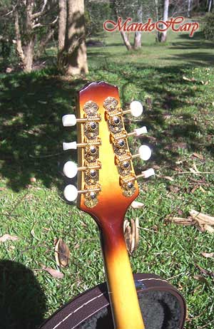 MandoHarp - 'Bird Flower' Hand-Made Inlaid A-Style Mandolin