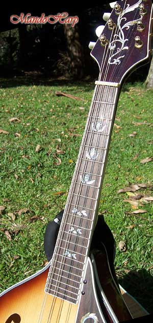 MandoHarp - 'Bird Flower' Hand-Made Inlaid A-Style Mandolin