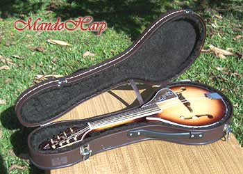 MandoHarp - 'Bird Flower' Hand-Made Inlaid A-Style Mandolin