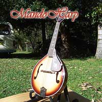 MandoHarp - 'Bird Flower' Hand-Made Inlaid A-Style Mandolin