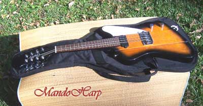 MandoHarp - Gibson Epiphone MandoBird VIII