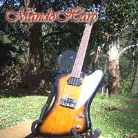 MandoHarp - Gibson Epiphone MandoBird VIII