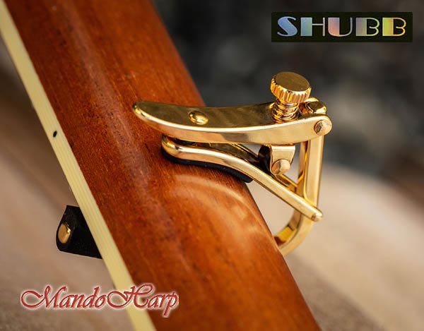MandoHarp - Shubb Capo Royale - C3g for 12-String Guitar - Gold PVD Finish