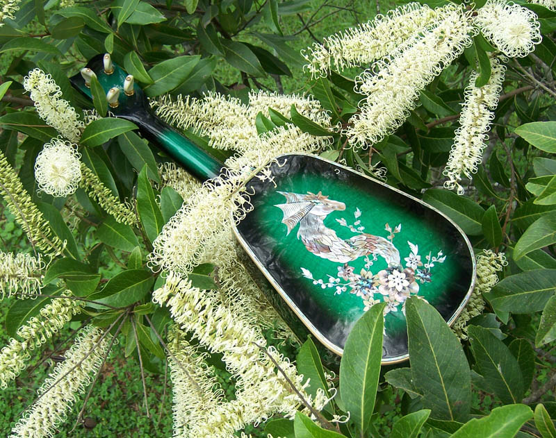MandoHarp - 'Green Dragons' Concert Ukulele